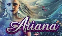 Casino Suisse Best Casino On Line