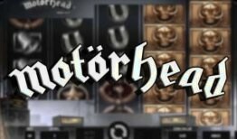 Live Casino Live Casino