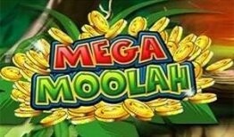 Live Casino Casino Suisse